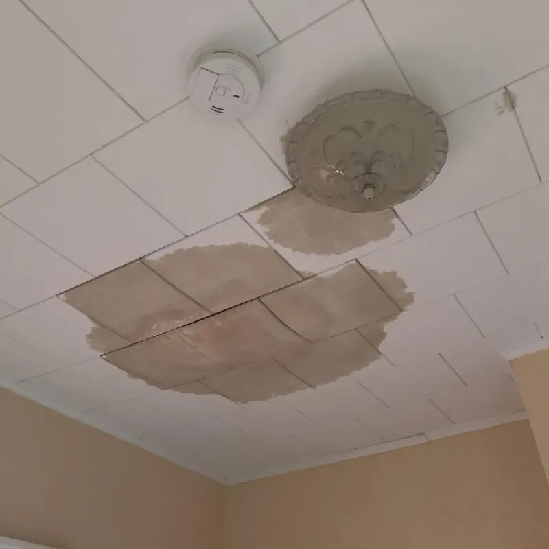 Ceiling Water Damage Repair in El Rancho, NM