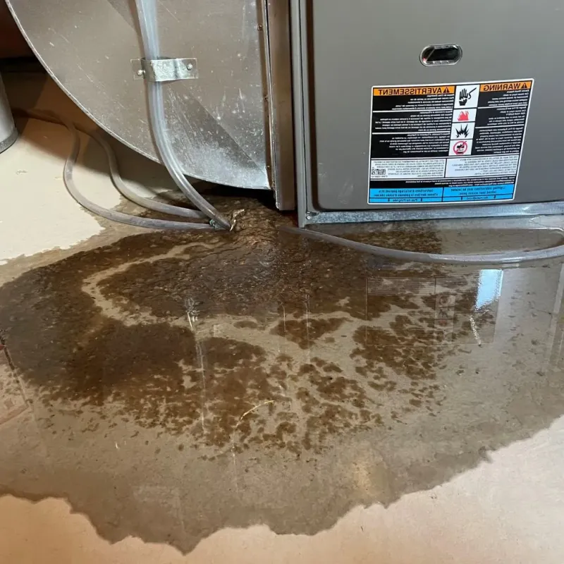 Pipe Burst and Leak Restoration in El Rancho, NM